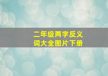 二年级两字反义词大全图片下册