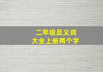 二年级反义词大全上册两个字