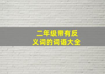 二年级带有反义词的词语大全