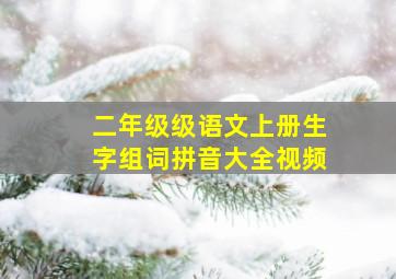 二年级级语文上册生字组词拼音大全视频