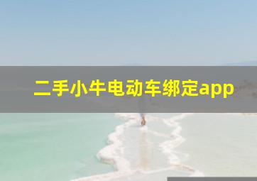 二手小牛电动车绑定app