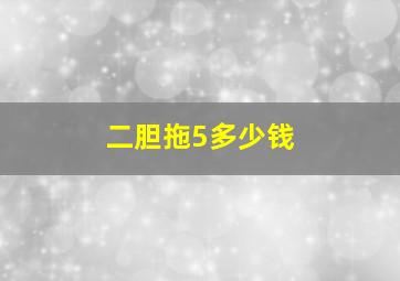 二胆拖5多少钱