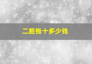 二胆拖十多少钱