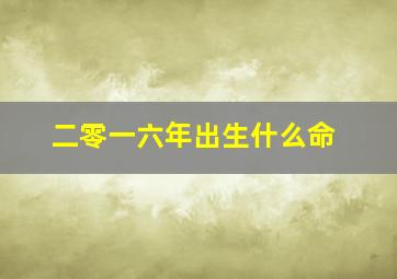 二零一六年出生什么命