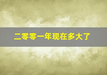 二零零一年现在多大了