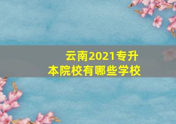 云南2021专升本院校有哪些学校