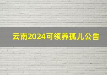 云南2024可领养孤儿公告