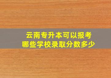 云南专升本可以报考哪些学校录取分数多少