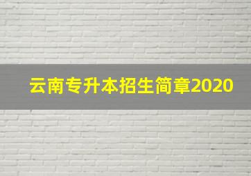 云南专升本招生简章2020