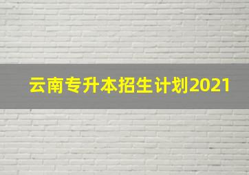 云南专升本招生计划2021