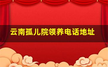 云南孤儿院领养电话地址