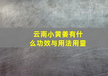 云南小黄姜有什么功效与用法用量