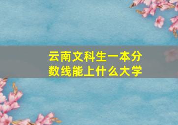 云南文科生一本分数线能上什么大学