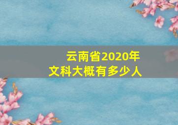 云南省2020年文科大概有多少人