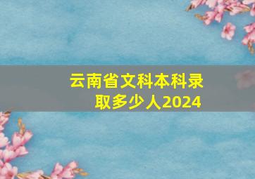 云南省文科本科录取多少人2024