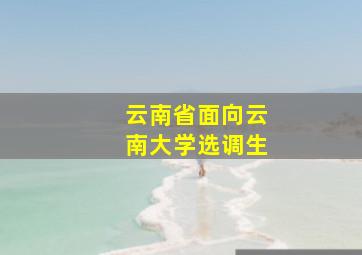 云南省面向云南大学选调生