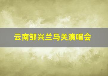 云南邹兴兰马关演唱会