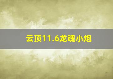 云顶11.6龙魂小炮