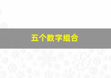 五个数字组合