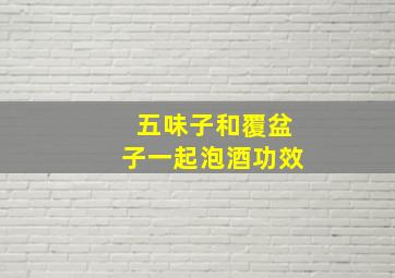 五味子和覆盆子一起泡酒功效