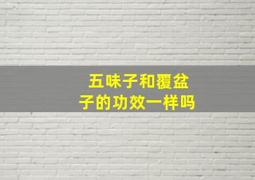 五味子和覆盆子的功效一样吗