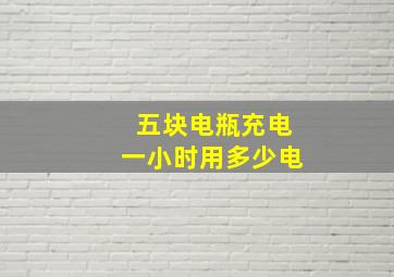 五块电瓶充电一小时用多少电