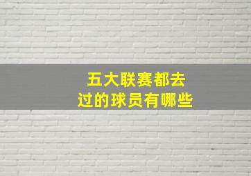 五大联赛都去过的球员有哪些