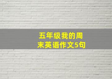 五年级我的周末英语作文5句