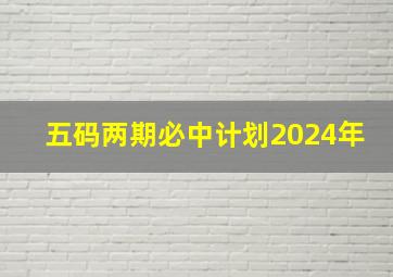 五码两期必中计划2024年