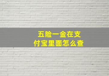 五险一金在支付宝里面怎么查