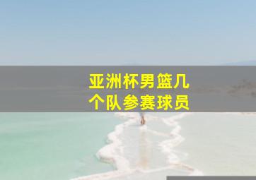 亚洲杯男篮几个队参赛球员