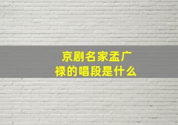 京剧名家孟广禄的唱段是什么