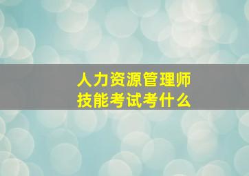 人力资源管理师技能考试考什么