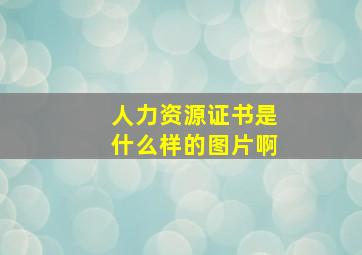 人力资源证书是什么样的图片啊