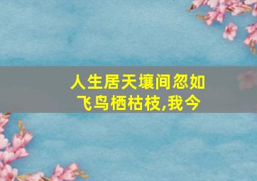 人生居天壤间忽如飞鸟栖枯枝,我今