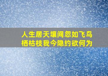 人生居天壤间忽如飞鸟栖枯枝我今隐约欲何为