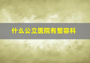 什么公立医院有整容科