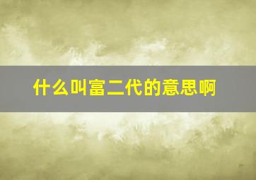 什么叫富二代的意思啊