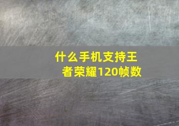 什么手机支持王者荣耀120帧数