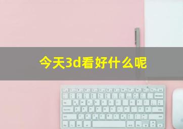 今天3d看好什么呢