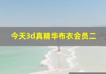 今天3d真精华布衣会员二