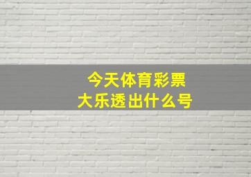 今天体育彩票大乐透出什么号