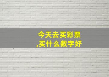 今天去买彩票,买什么数字好