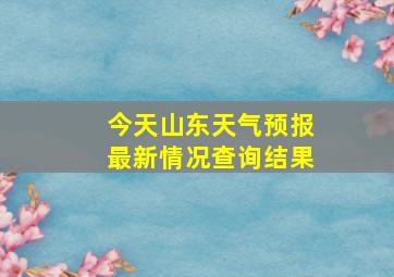 今天山东天气预报最新情况查询结果