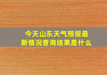 今天山东天气预报最新情况查询结果是什么