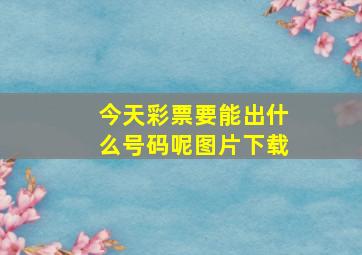 今天彩票要能出什么号码呢图片下载