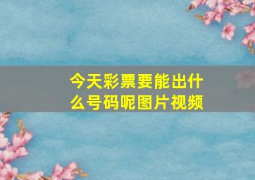 今天彩票要能出什么号码呢图片视频