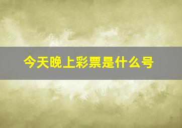 今天晚上彩票是什么号