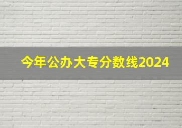 今年公办大专分数线2024