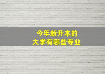 今年新升本的大学有哪些专业